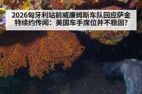 2026匈牙利站前威廉姆斯车队回应萨金特续约传闻：美国车手席位并不稳固？